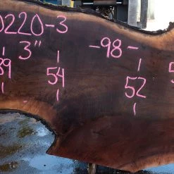 Goby Walnut Products Oregon Black Walnut Slab 090220-03 Green Slabs