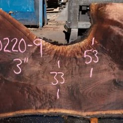 Goby Walnut Products Green Slabs Oregon Black Walnut Slab 090220-09