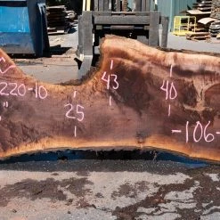 Goby Walnut Products Green Slabs Oregon Black Walnut Slab 090220-10