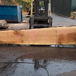 Goby Walnut Products Green Slabs Oregon White Oak Slab 092120-02