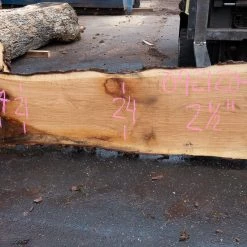 Goby Walnut Products Green Slabs Oregon White Oak Slab 092120-02