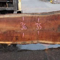 Goby Walnut Products Oregon White Oak Slab 092120-06 Green Slabs