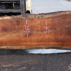 Goby Walnut Products Oregon White Oak Slab 092120-07 Green Slabs