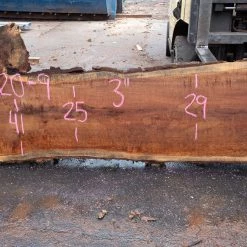 Goby Walnut Products Oregon White Oak Slab 092120-09 Green Slabs