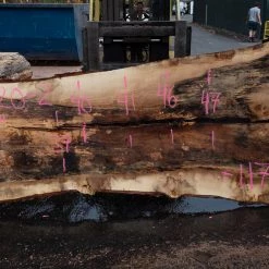 Goby Walnut Products Green Slabs Oregon White Oak Slab 092220-02