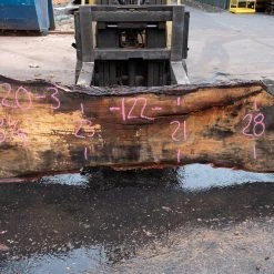 Goby Walnut Products Oregon White Oak Slab 092220-03