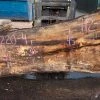 Goby Walnut Products Oregon White Oak Slab 092220-04 Green Slabs
