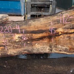 Goby Walnut Products Oregon White Oak Slab 092220-04 Green Slabs
