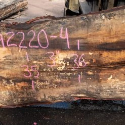 Goby Walnut Products Oregon White Oak Slab 092220-04 Green Slabs