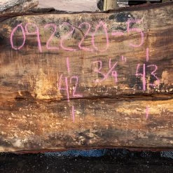 Goby Walnut Products Green Slabs Oregon White Oak Slab 092220-05