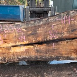 Goby Walnut Products Oregon White Oak Slab 092220-06