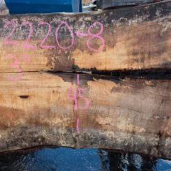 Goby Walnut Products Green Slabs Oregon White Oak Slab 092220-08