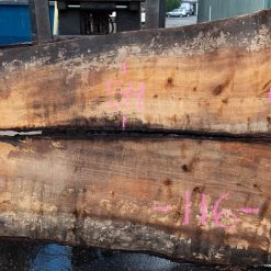 Goby Walnut Products Green Slabs Oregon White Oak Slab 092220-08