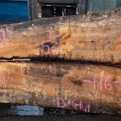 Goby Walnut Products Green Slabs Oregon White Oak Slab 092220-09