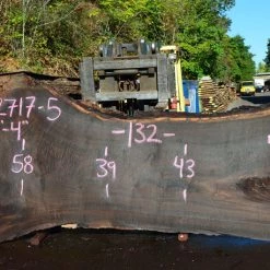 Goby Walnut 092717-05 Oregon Black Walnut Slab Green Slabs