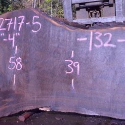 Goby Walnut 092717-05 Oregon Black Walnut Slab Green Slabs