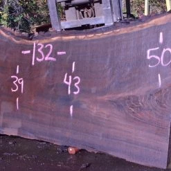 Goby Walnut 092717-05 Oregon Black Walnut Slab Green Slabs
