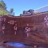 Goby Walnut Green Slabs 092717-07 Oregon Black Walnut Slab