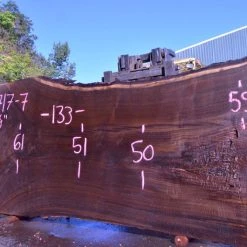 Goby Walnut Green Slabs 092717-07 Oregon Black Walnut Slab