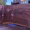 Goby Walnut 092717-09 Oregon Black Walnut Slab Green Slabs