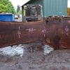 Goby Walnut Oregon Black Walnut Slab 092817-01 Green Slabs
