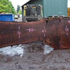 Goby Walnut Oregon Black Walnut Slab 092817-01 Green Slabs