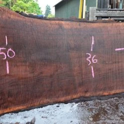Goby Walnut Oregon Black Walnut Slab 092817-01 Green Slabs