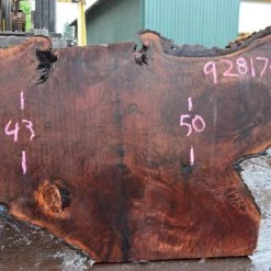 Goby Walnut Oregon Black Walnut Slab 092817-01 Green Slabs