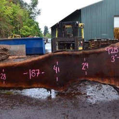 Goby Walnut Oregon Black Walnut Slab 092817-07