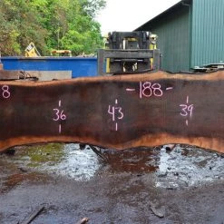 Goby Walnut Oregon Black Walnut Slab 092817-08