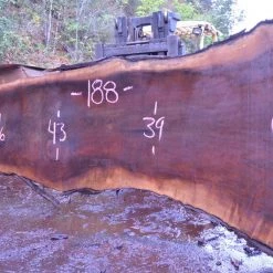 Goby Walnut Oregon Black Walnut Slab 092817-08