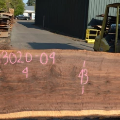 Goby Walnut Oregon Black Walnut Slab 093020-04 Green Slabs