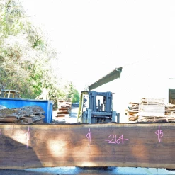 Goby Walnut Green Slabs Oregon Black Walnut Slab 093020-08