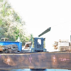 Goby Walnut Green Slabs Oregon Black Walnut Slab 093020-09