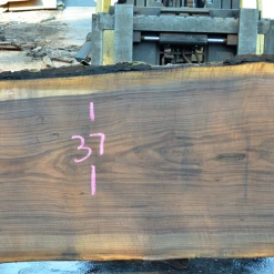 Goby Walnut Green Slabs Oregon Black Walnut Slab 093020-09