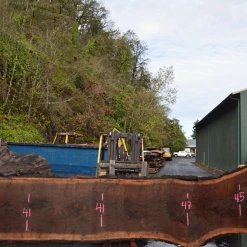 Goby Walnut Oregon Black Walnut Slab 101220-01 Green Slabs