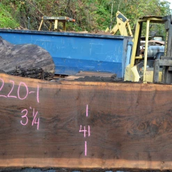 Goby Walnut Oregon Black Walnut Slab 101220-01 Green Slabs