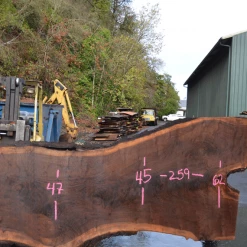 Goby Walnut Oregon Black Walnut Slab 101220-01 Green Slabs