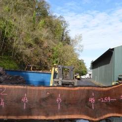 Goby Walnut Green Slabs Oregon Black Walnut Slab 101220-02