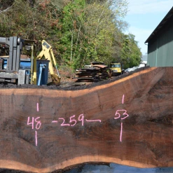 Goby Walnut Green Slabs Oregon Black Walnut Slab 101220-02
