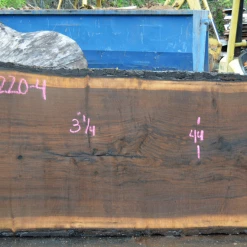 Goby Walnut Green Slabs Oregon Black Walnut Slab 101220-04