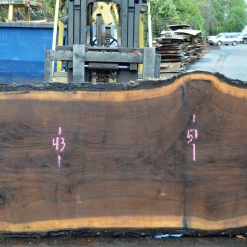Goby Walnut Green Slabs Oregon Black Walnut Slab 101220-04