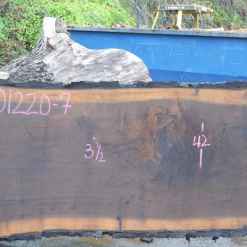 Goby Walnut Green Slabs Oregon Black Walnut Slab 101220-07