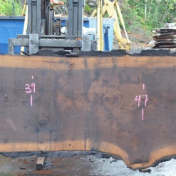 Goby Walnut Green Slabs Oregon Black Walnut Slab 101220-07