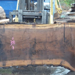 Goby Walnut Green Slabs Oregon Black Walnut Slab 101220-08