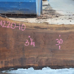 Goby Walnut Green Slabs Oregon Black Walnut Slab 101220-10