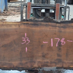 Goby Walnut Green Slabs Oregon Black Walnut Slab 101220-10