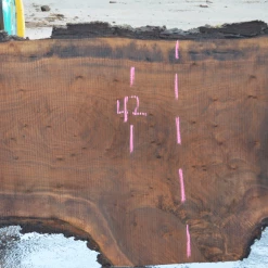 Goby Walnut Green Slabs Oregon Black Walnut Slab 101220-10