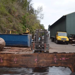 Goby Walnut Oregon Black Walnut Slab 101220-11