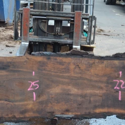 Goby Walnut Oregon Black Walnut Slab 101220-11